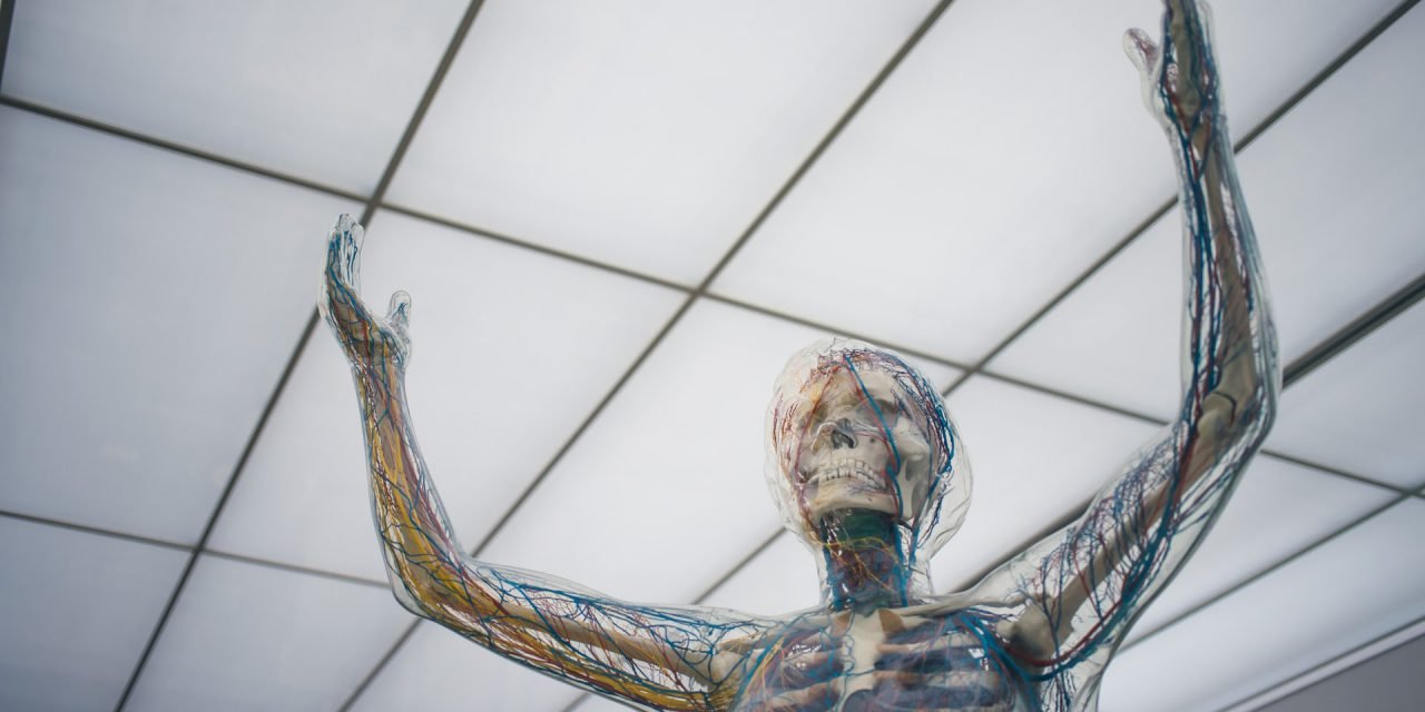 What is Foreign Language Syndrome?