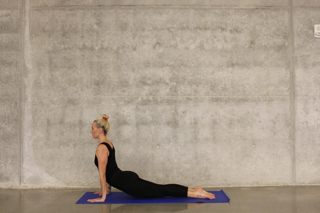 Hatha yoga