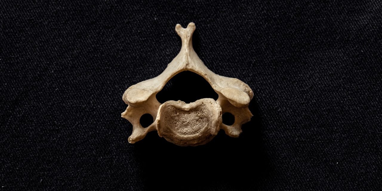 Causes and treatment of cervical incompetence