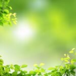 6 Key Questions to Demystify Yoga
