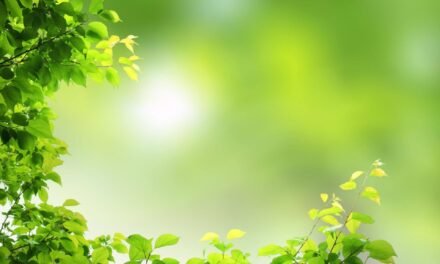 6 Key Questions to Demystify Yoga
