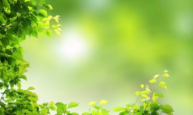 6 Key Questions to Demystify Yoga