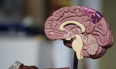 What is brain prolapse?
