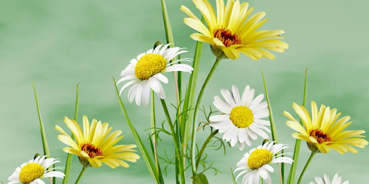 High-intensity interval training for beginners